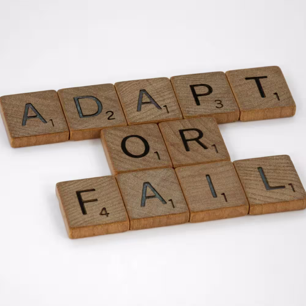Decision-making under fire by business leaders during a crisis