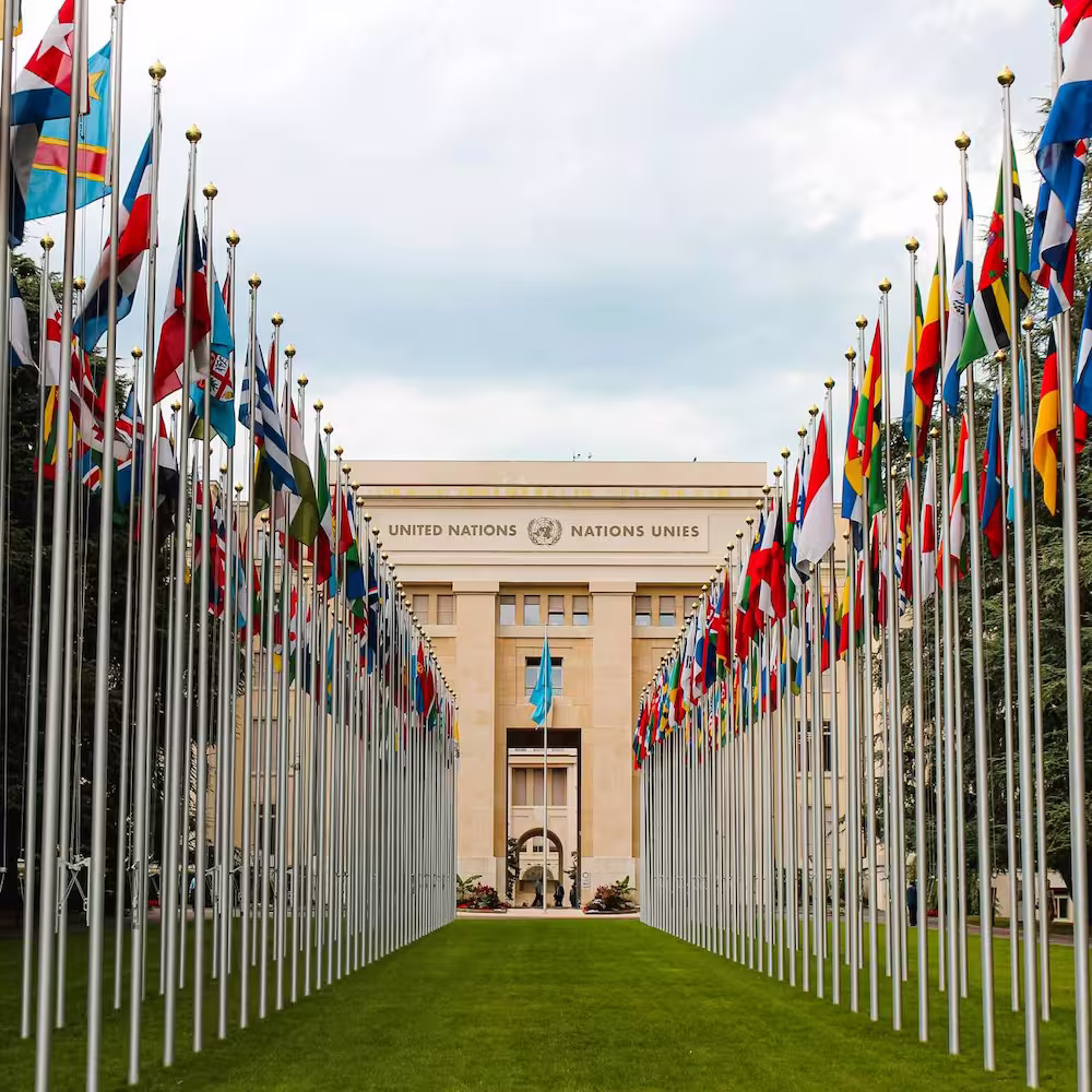 Government scrutiny affecting a company's strategic position